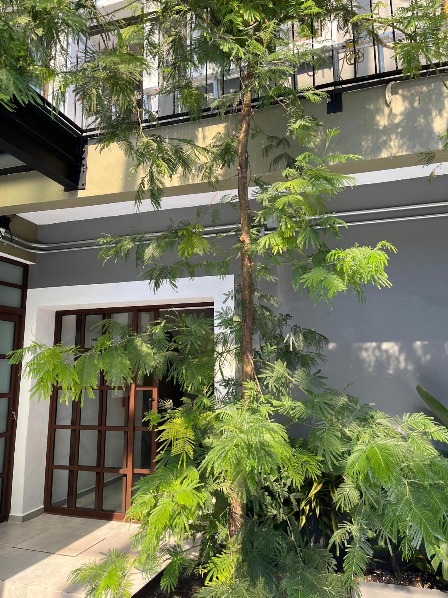 Eonia Hotel Atlixco Ngoại thất bức ảnh